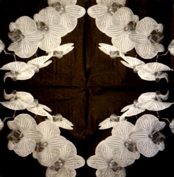 132 Orchids - 3-ply (black/white) - Silver Square